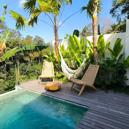 The Dream Villa