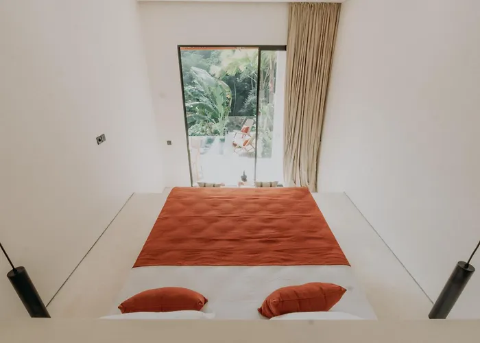 The Dream
